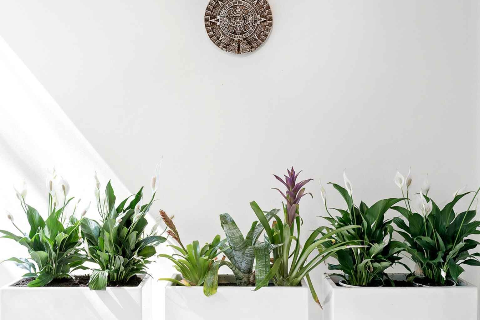 215/10 Jaques Avenue Bondi Beach