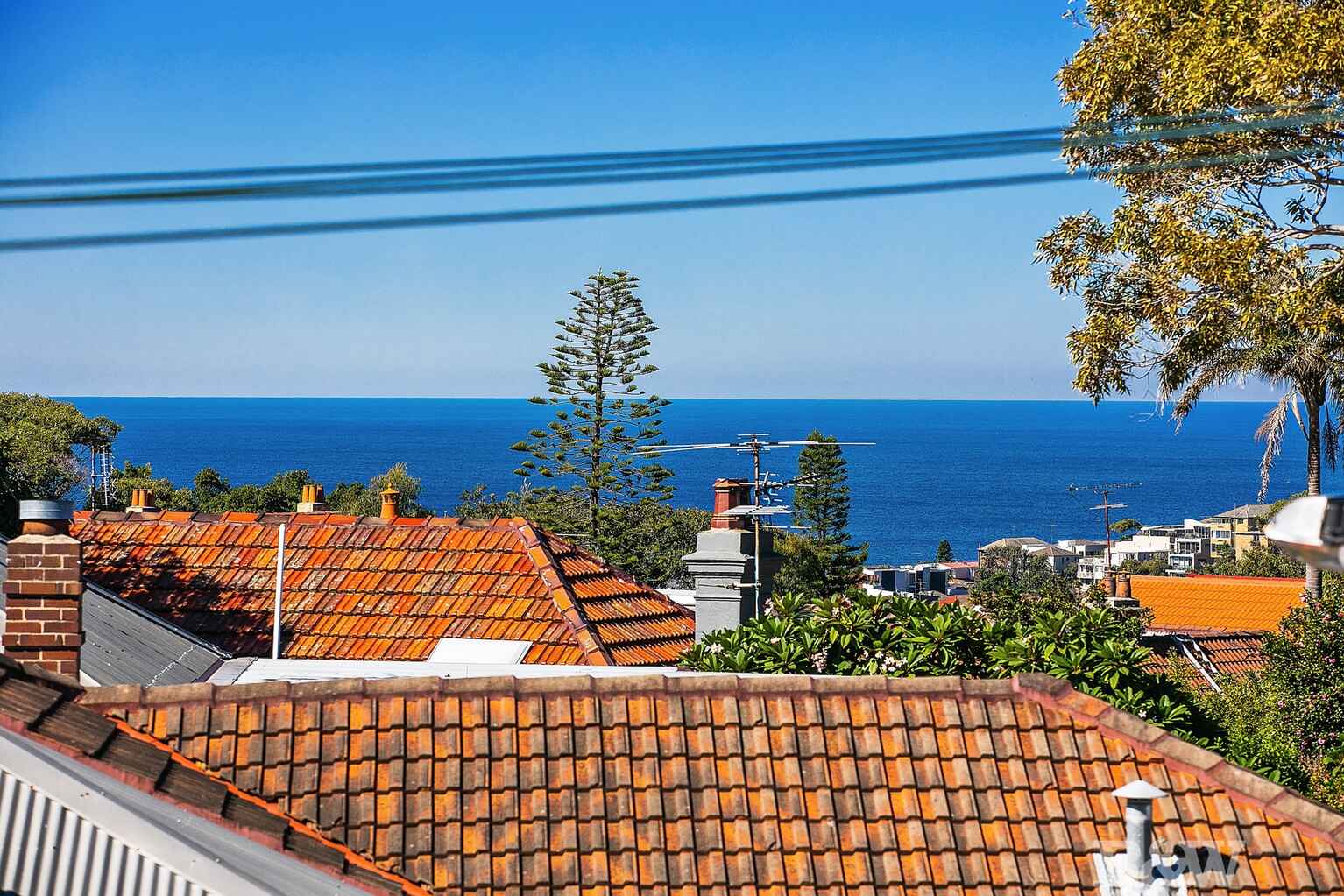 3/69-73 Macpherson Street Waverley