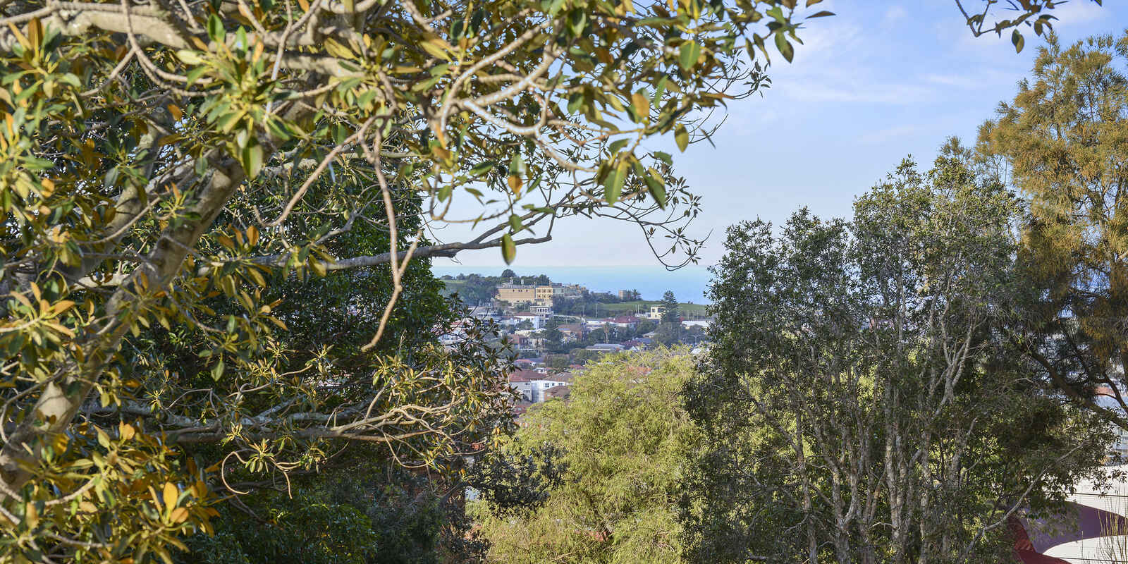 5309/34 Wellington Street Bondi 5309/34 Wellington Street Bondi