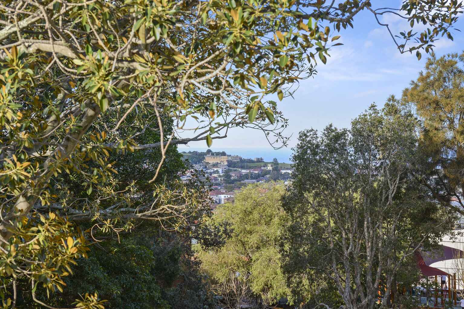 5309/34 Wellington Street Bondi 5309/34 Wellington Street Bondi