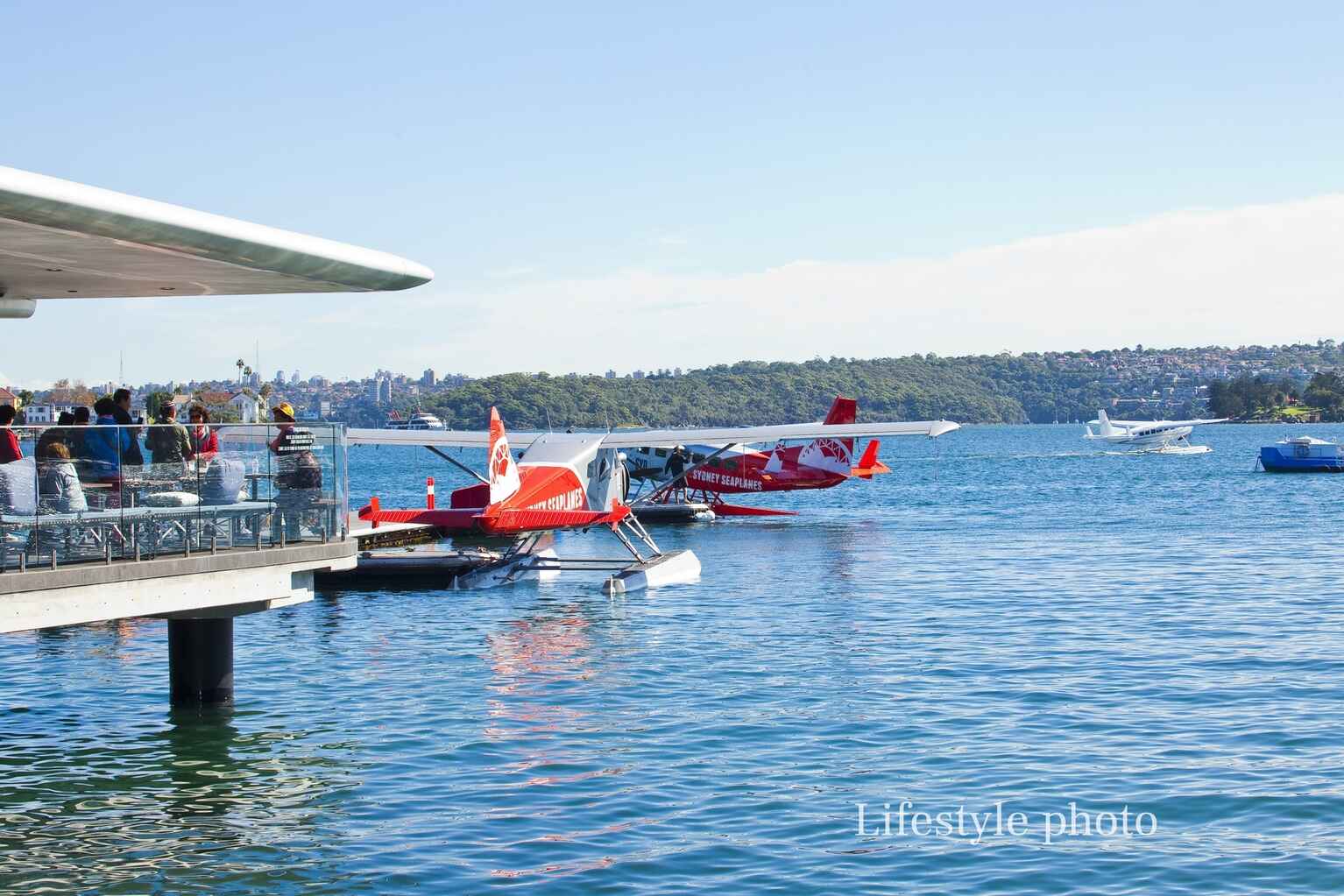 6/6 Chaleyer Street Rose Bay