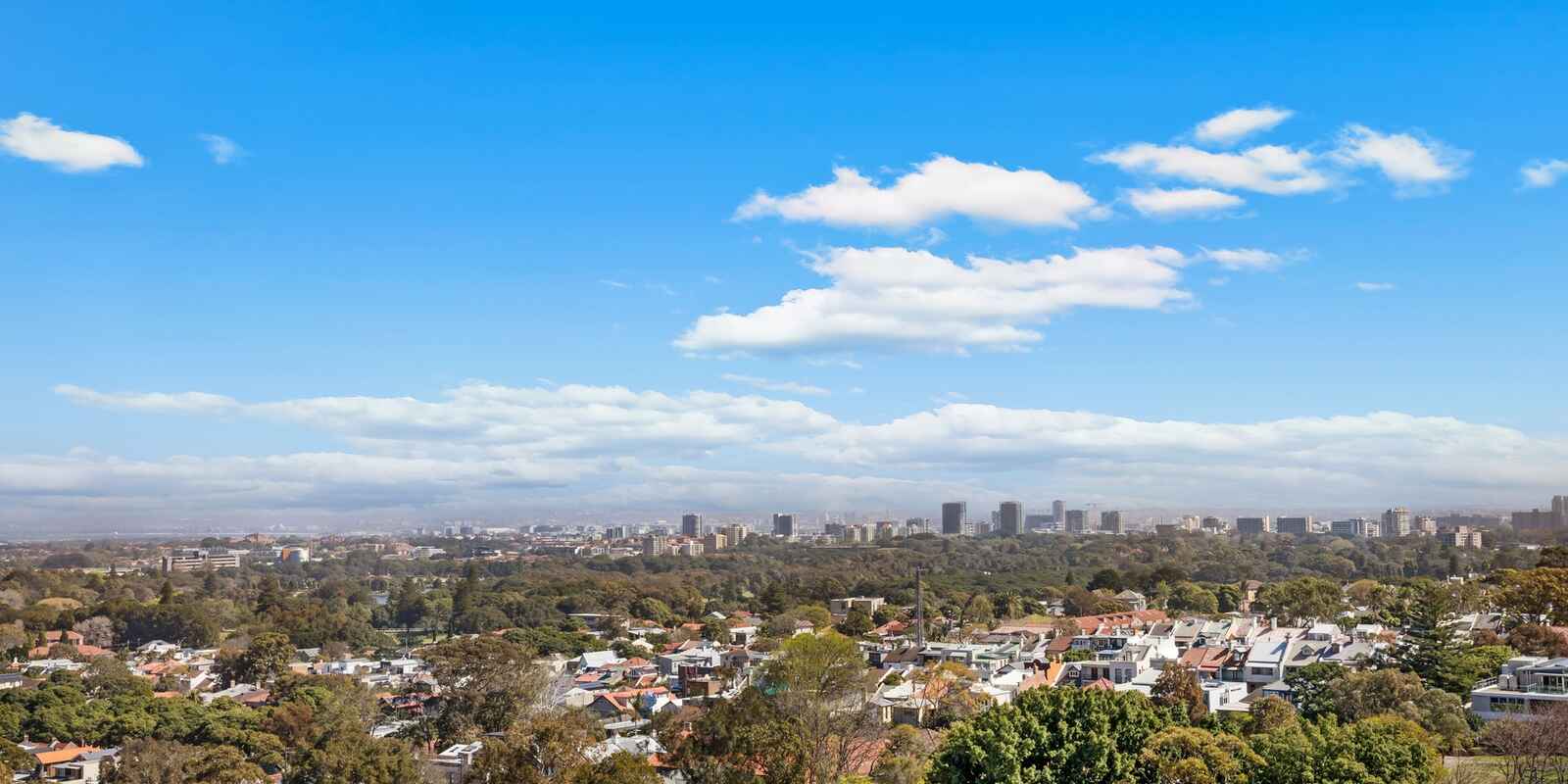 801/80 Ebley Street Bondi Junction