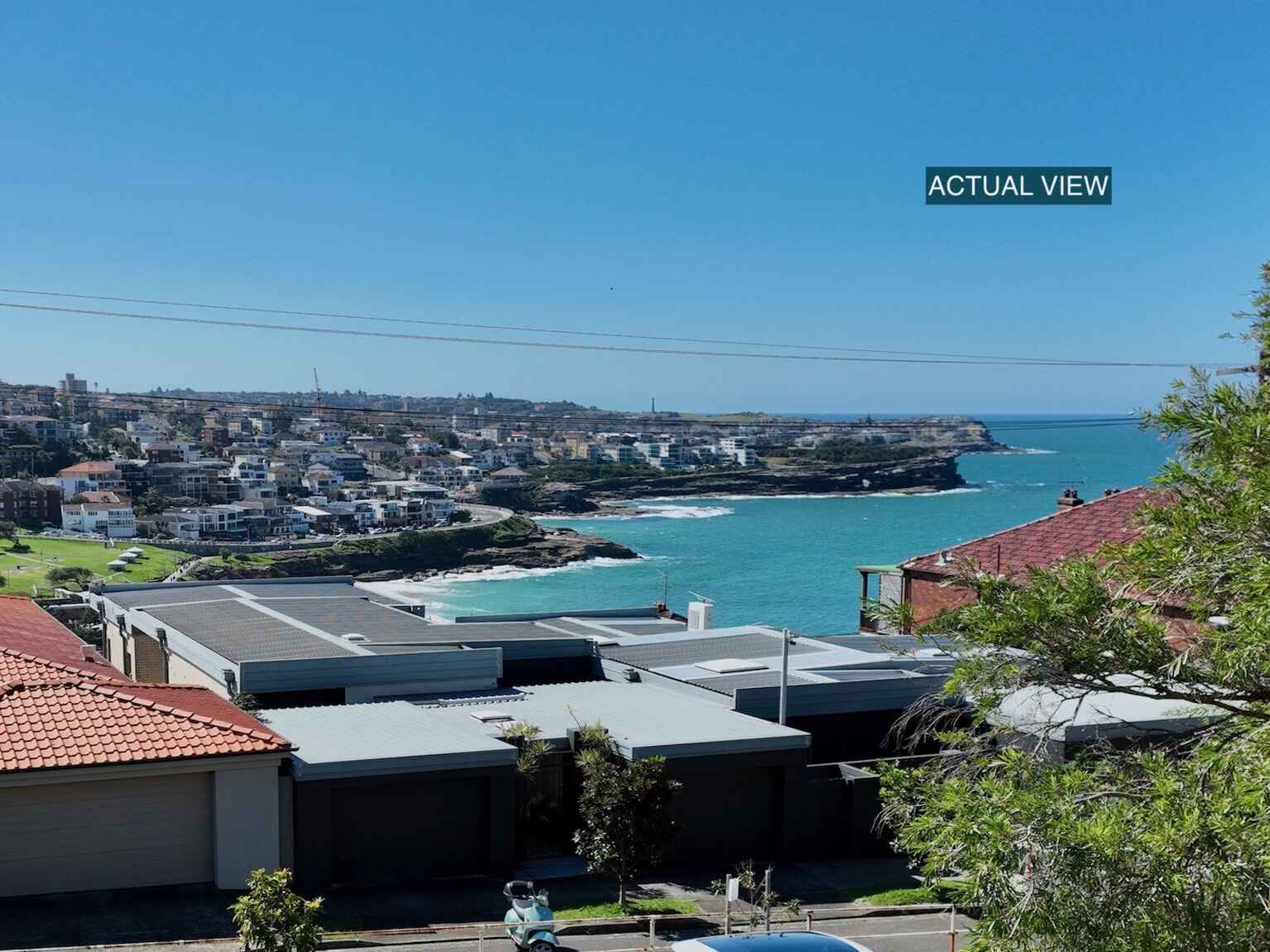 161 Macpherson Street Bronte