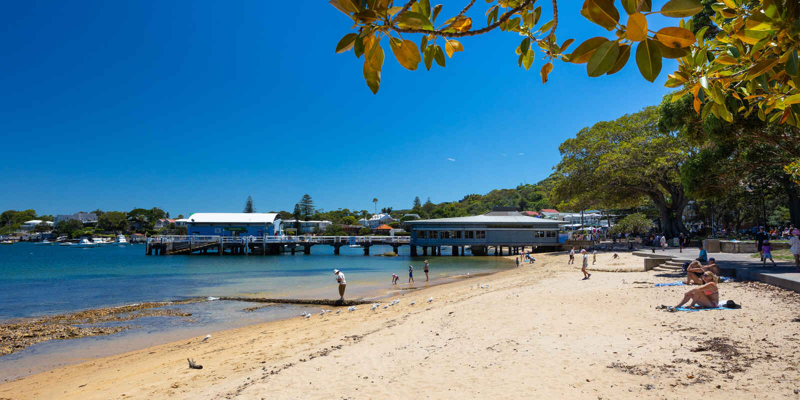 3/18-20 Old South Head Road Vaucluse 3/18-20 Old South Head Road Vaucluse