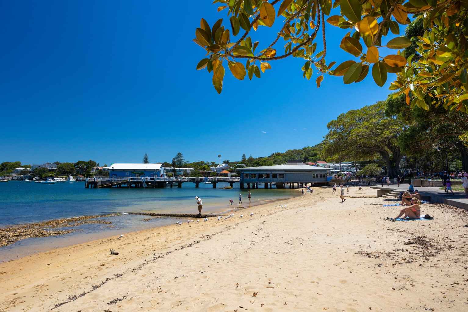 3/18-20 Old South Head Road Vaucluse 3/18-20 Old South Head Road Vaucluse