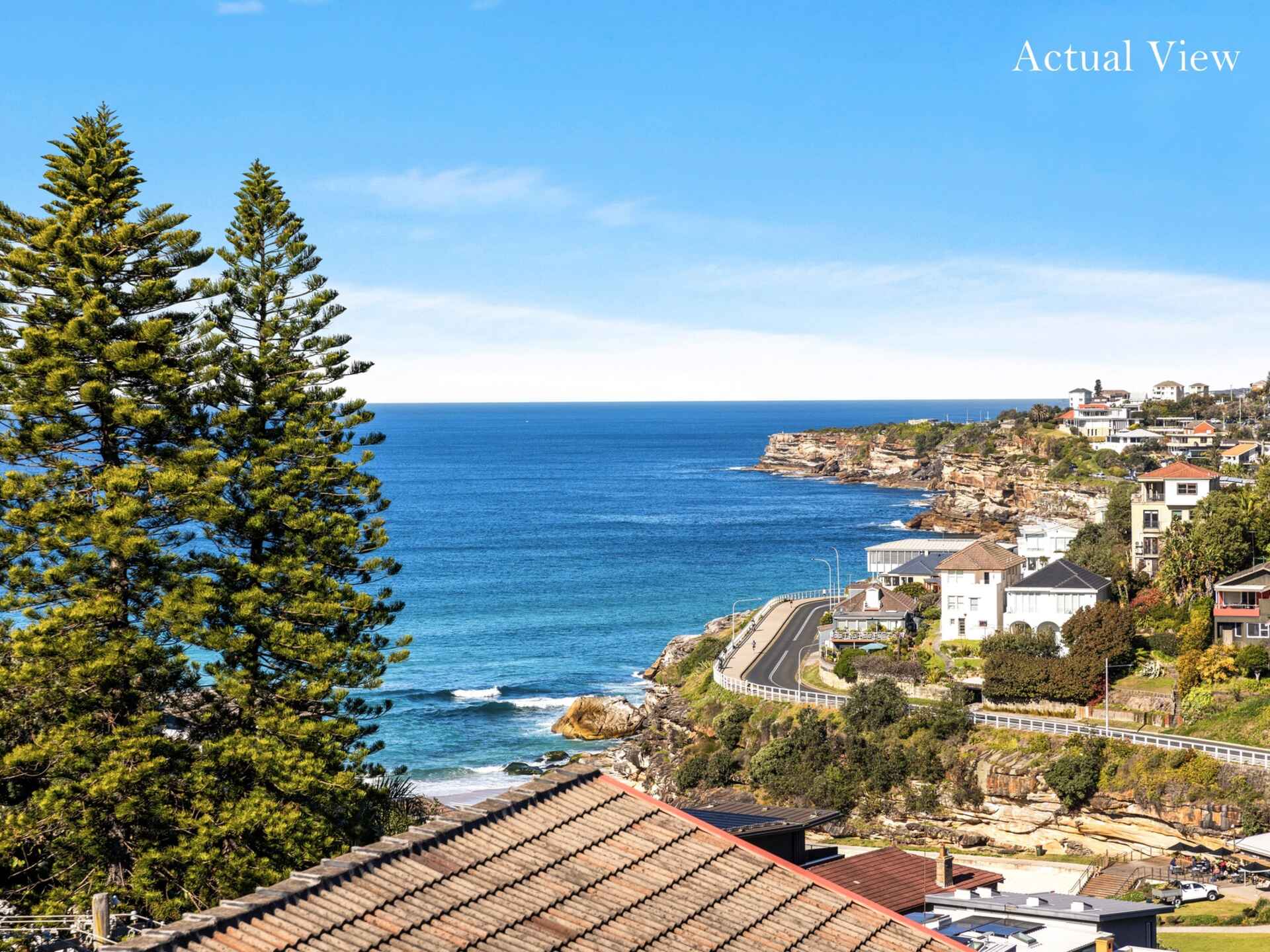 8/23 Carlisle Street Tamarama