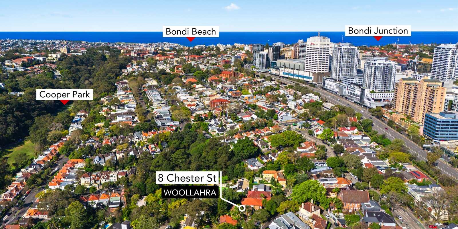 8 Chester Street Woollahra