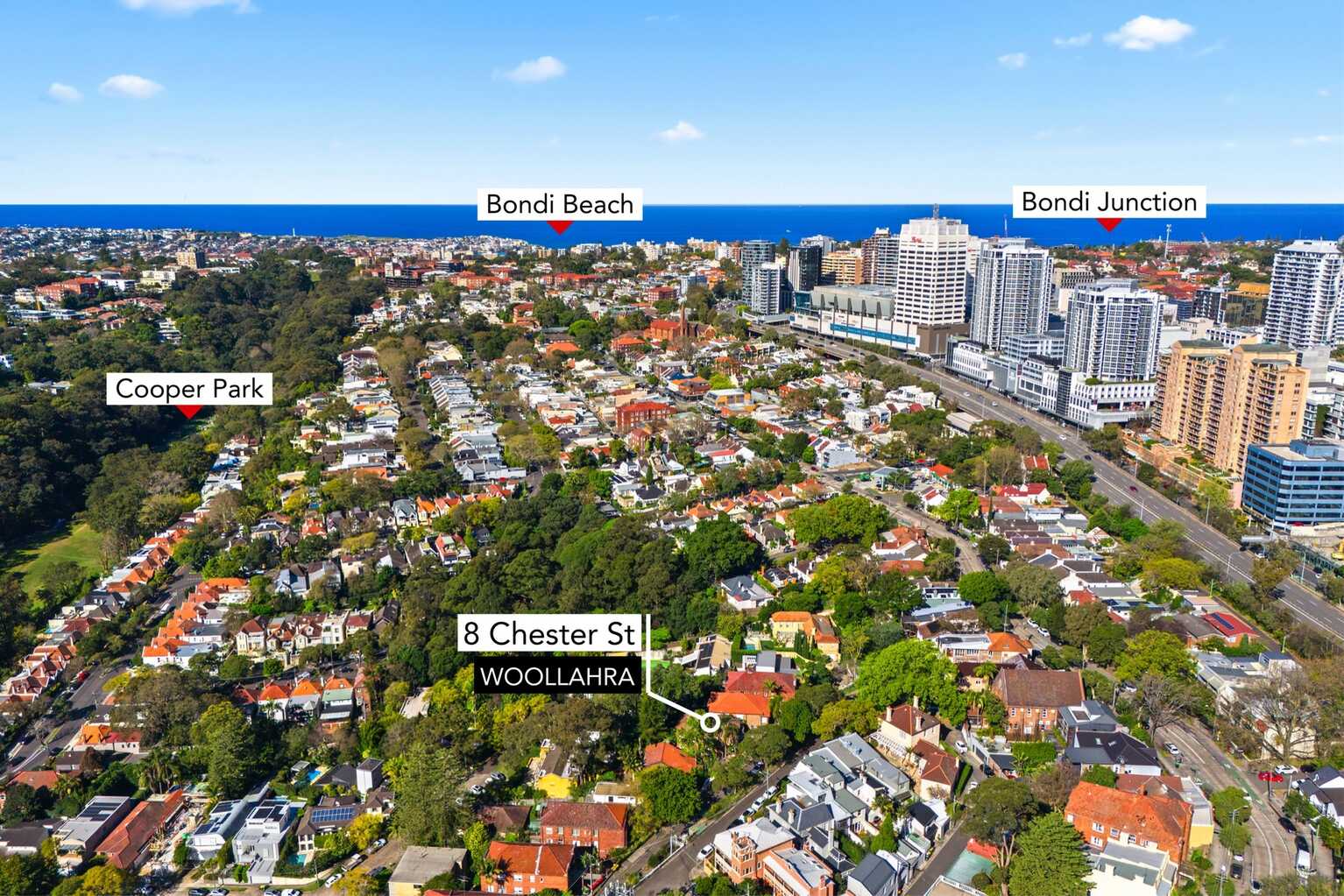 8 Chester Street Woollahra