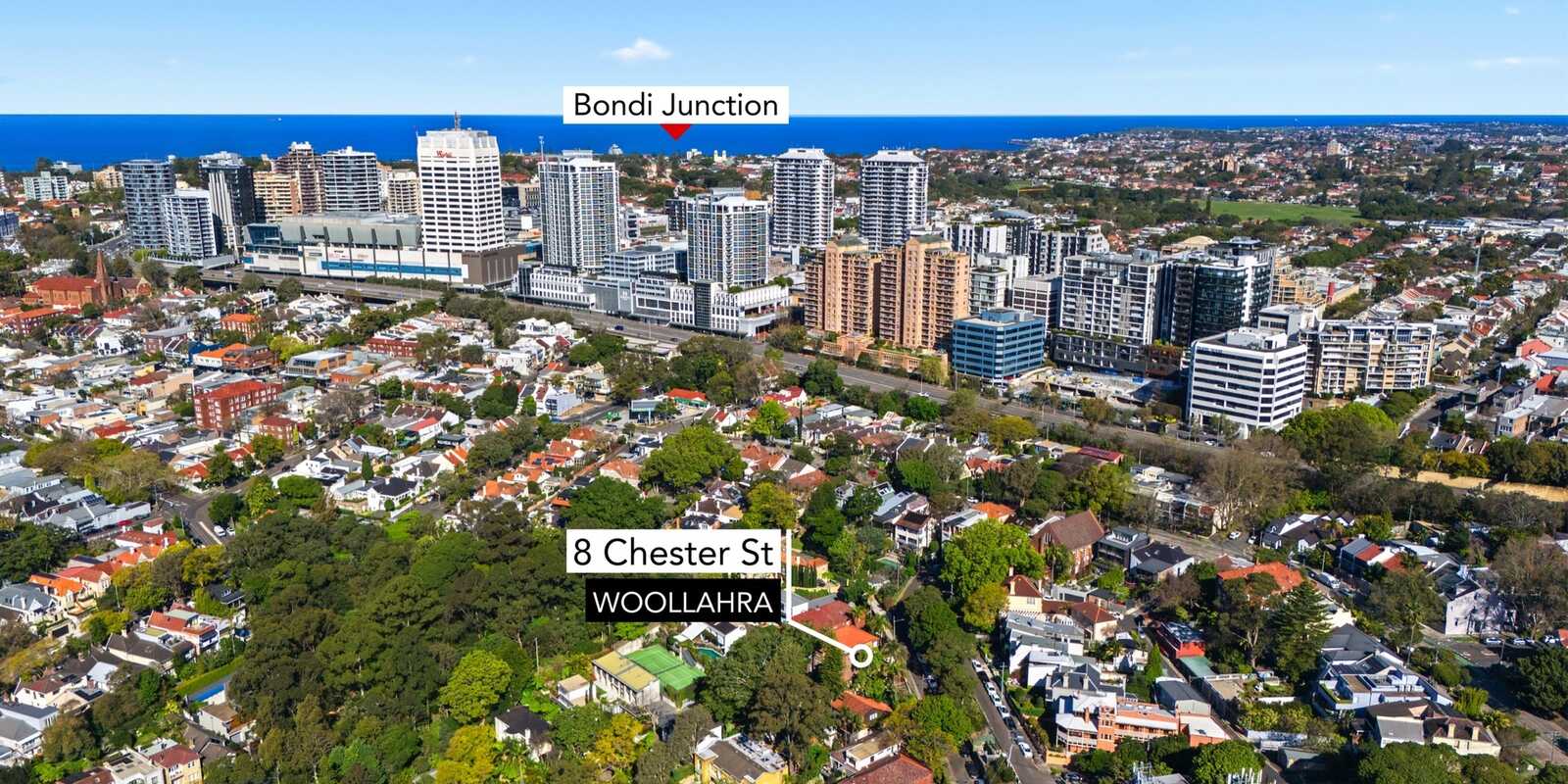 8 Chester Street Woollahra