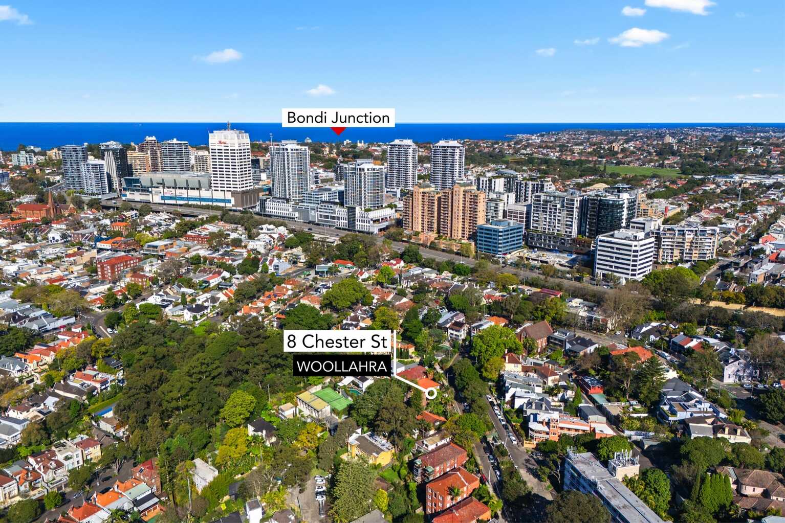 8 Chester Street Woollahra