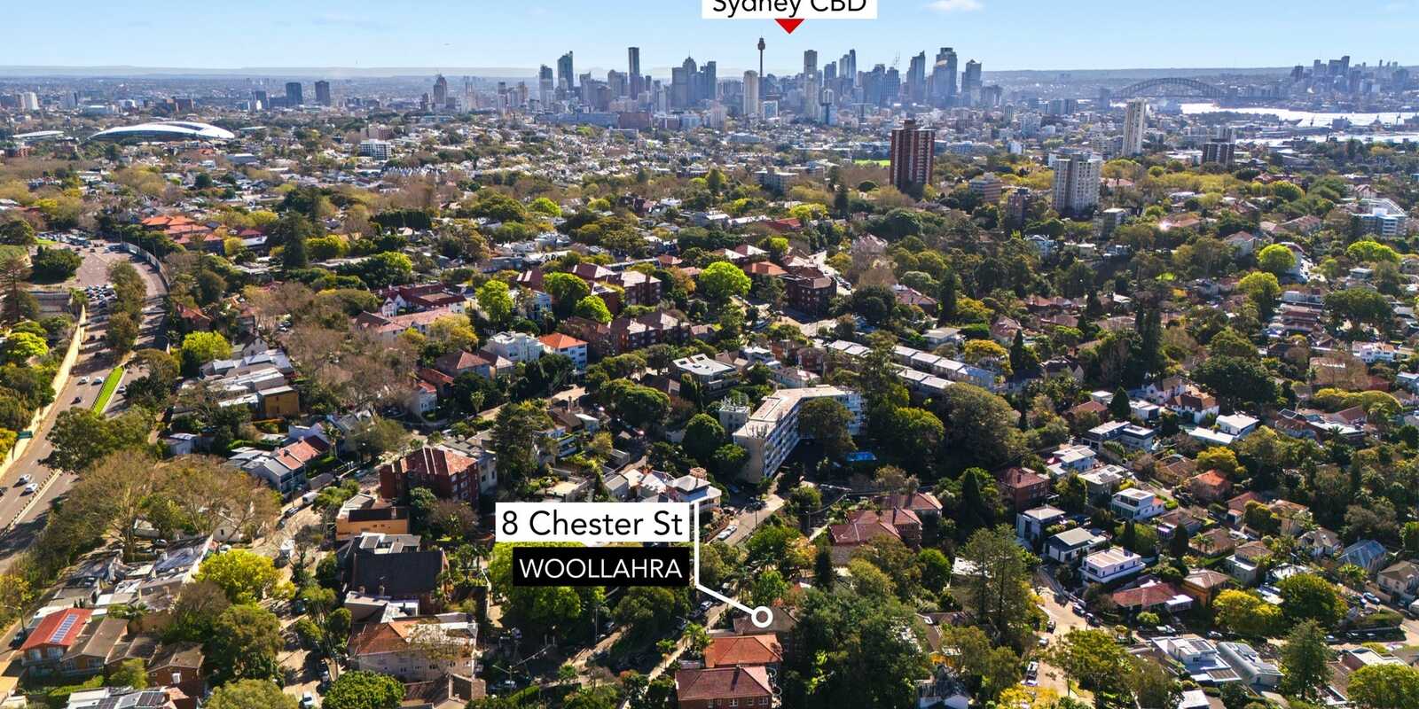8 Chester Street Woollahra
