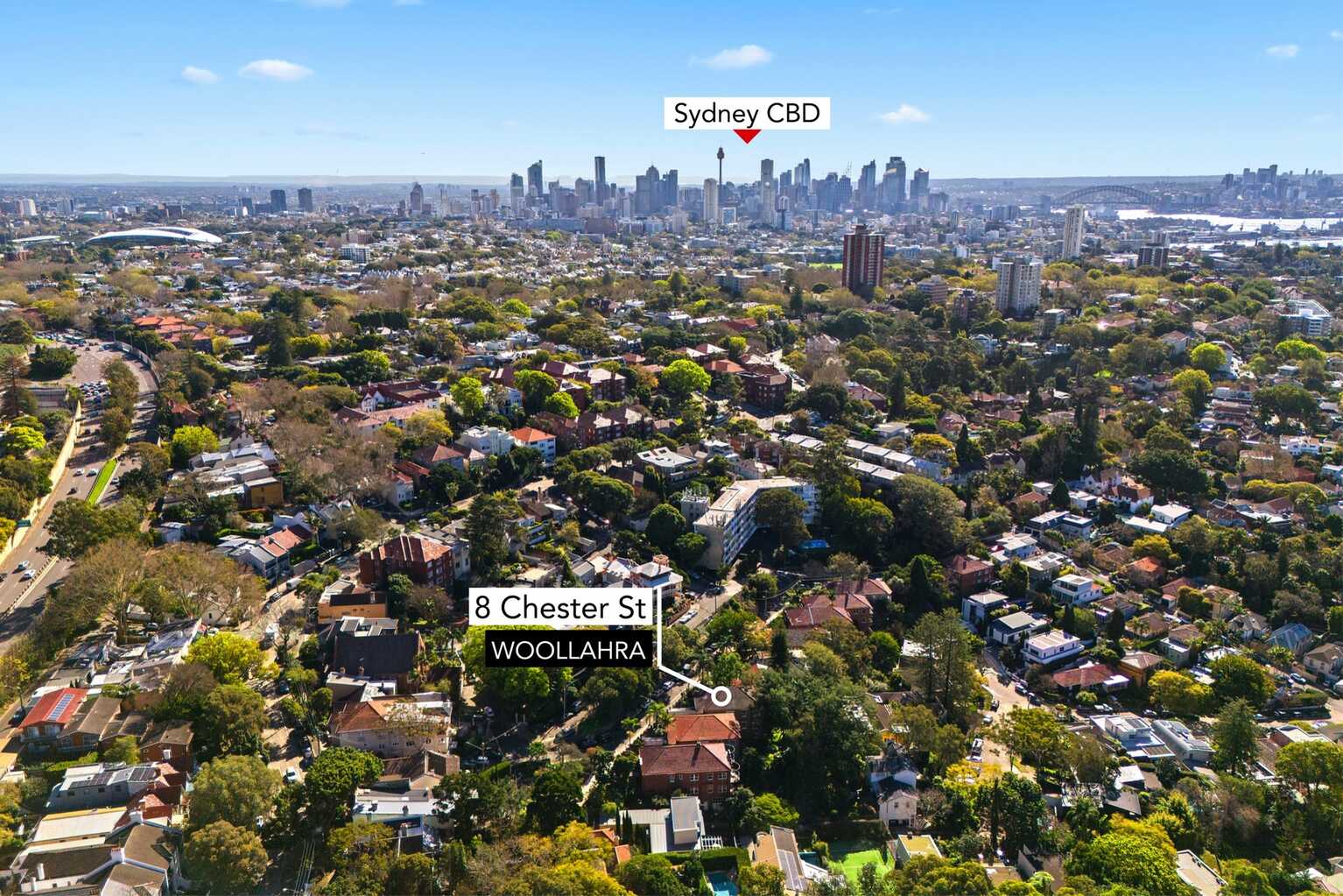 8 Chester Street Woollahra
