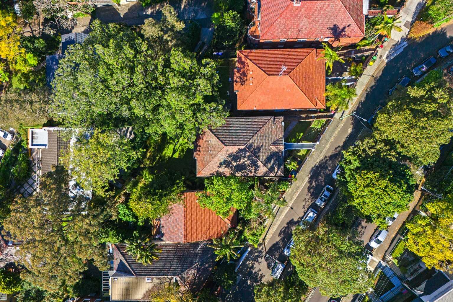8 Chester Street Woollahra