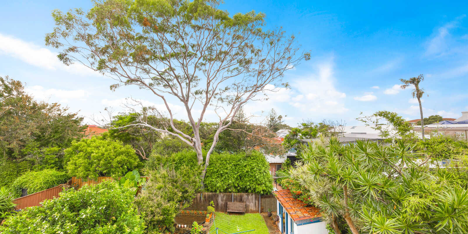 4/96 Ocean Street Bondi