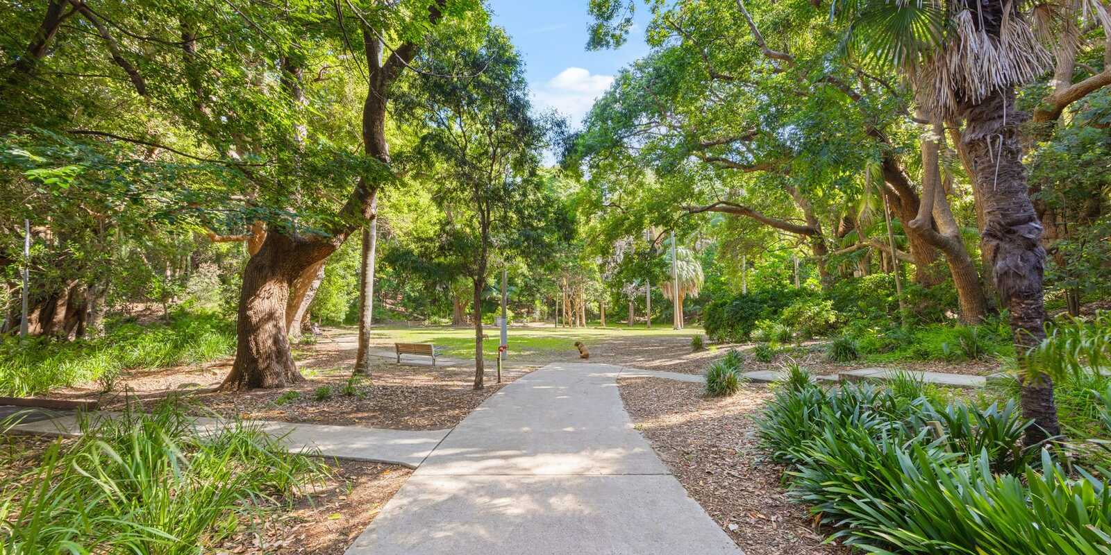 3/55 Simpson Street Bondi Beach