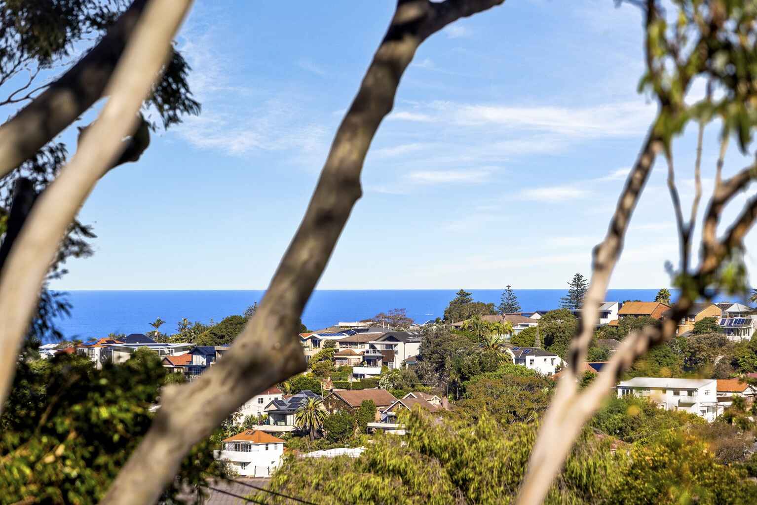 24/10 Henrietta Street Waverley 24/10 Henrietta Street Waverley