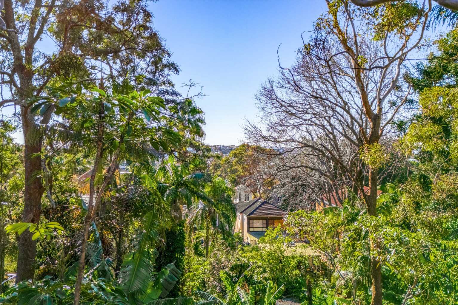 1/65 Francis Street Bondi Beach