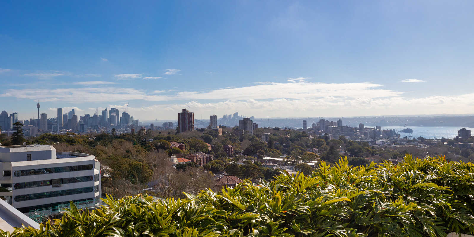 502/350 Oxford Street Bondi Junction 502/350 Oxford Street Bondi Junction