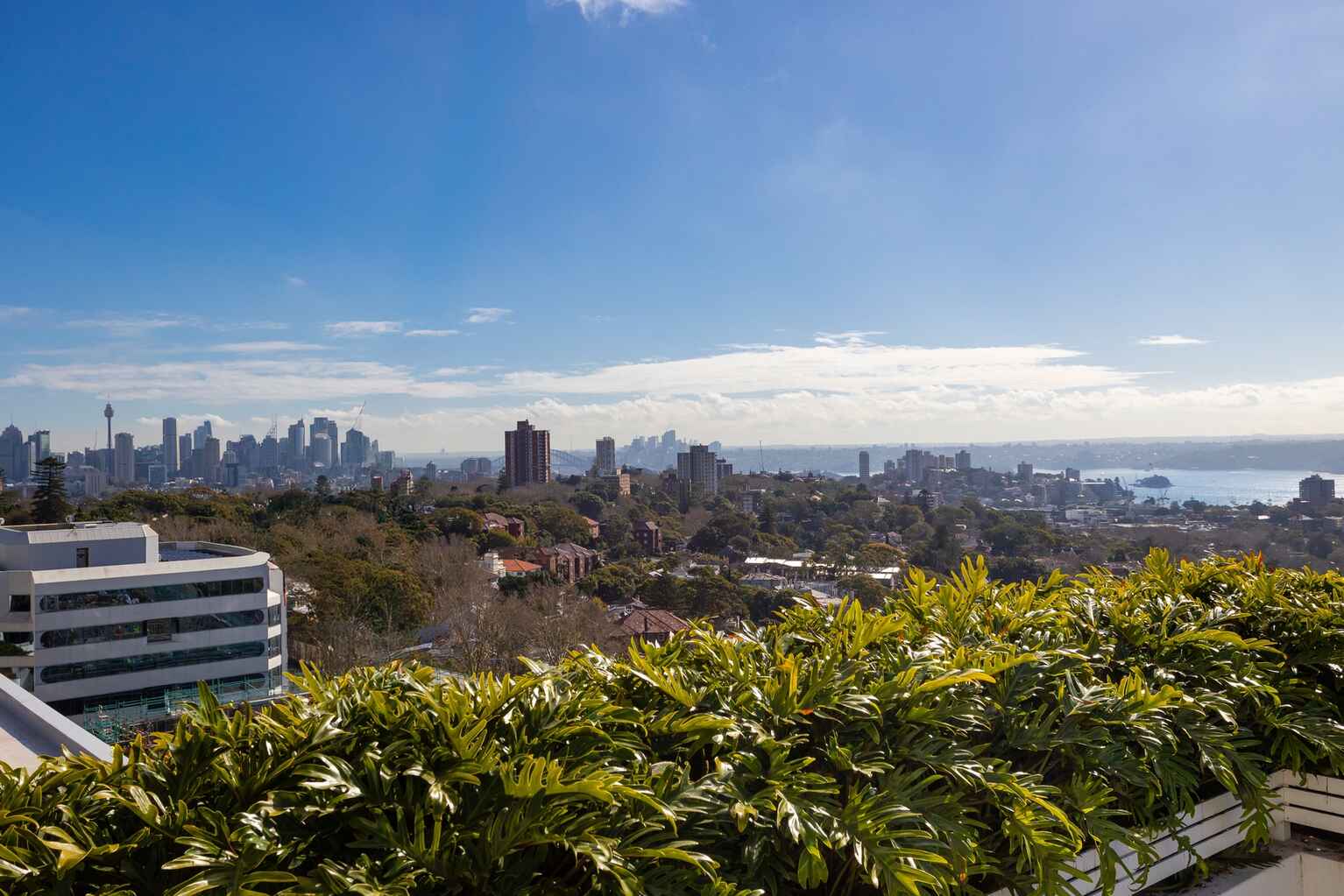 502/350 Oxford Street Bondi Junction 502/350 Oxford Street Bondi Junction