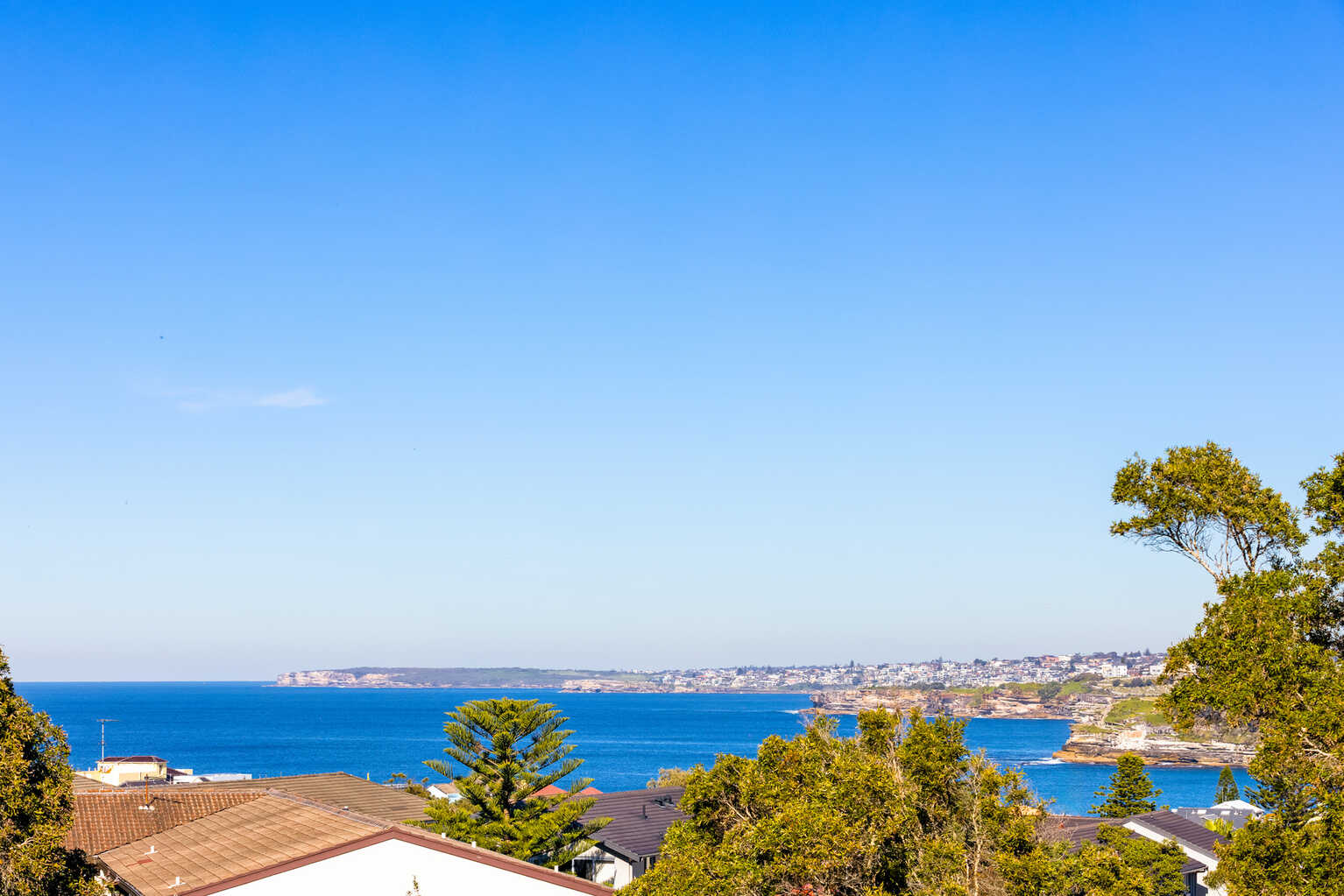 18 O'Donnell Street North Bondi