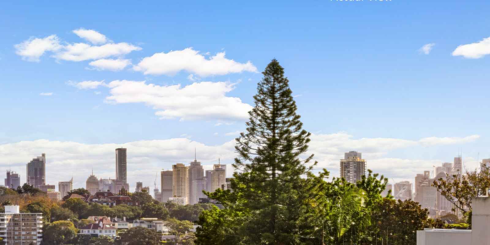 4/20 Streatfield Road Bellevue Hill