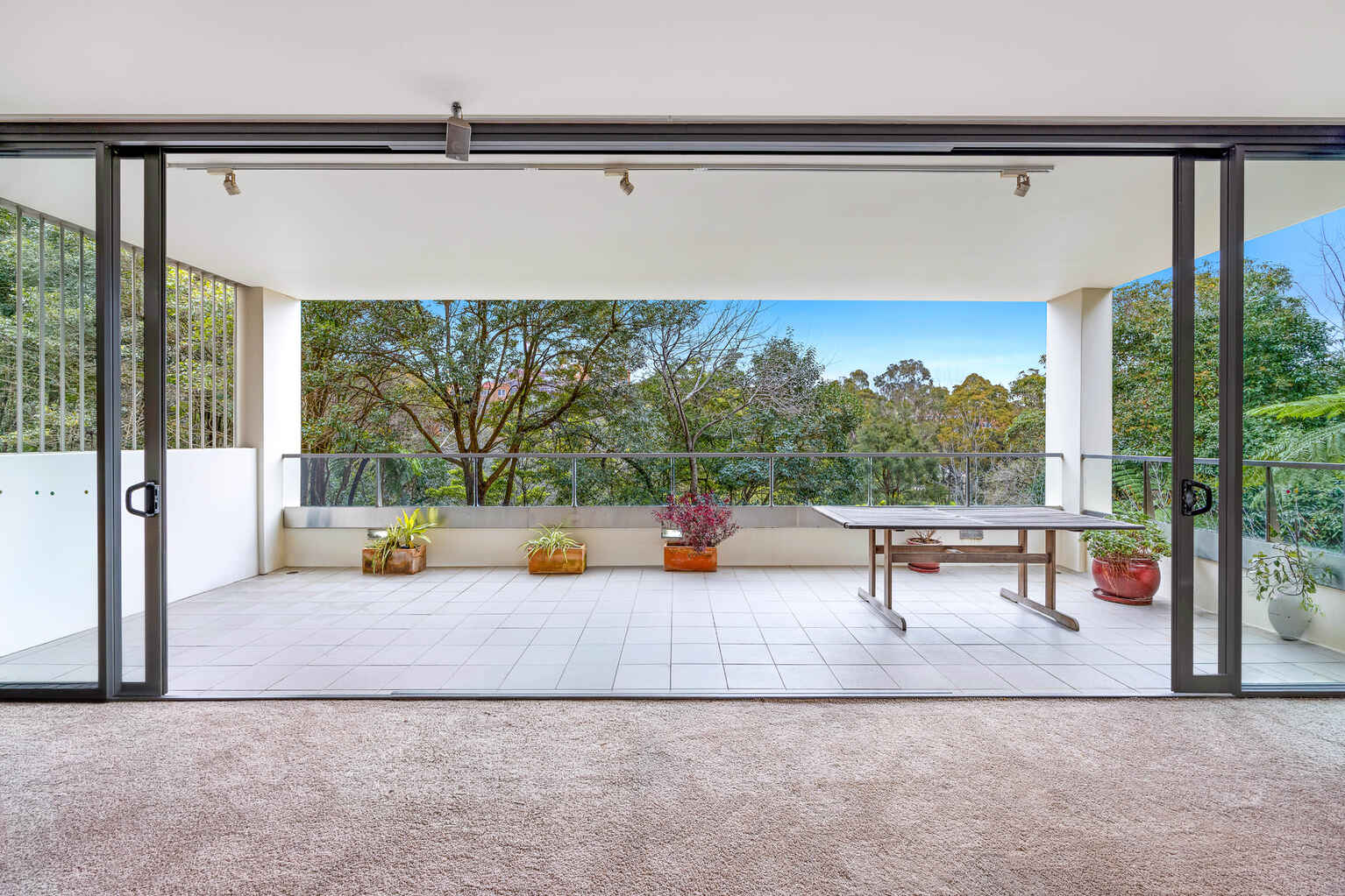 2/8 Bellevue Road Bellevue Hill