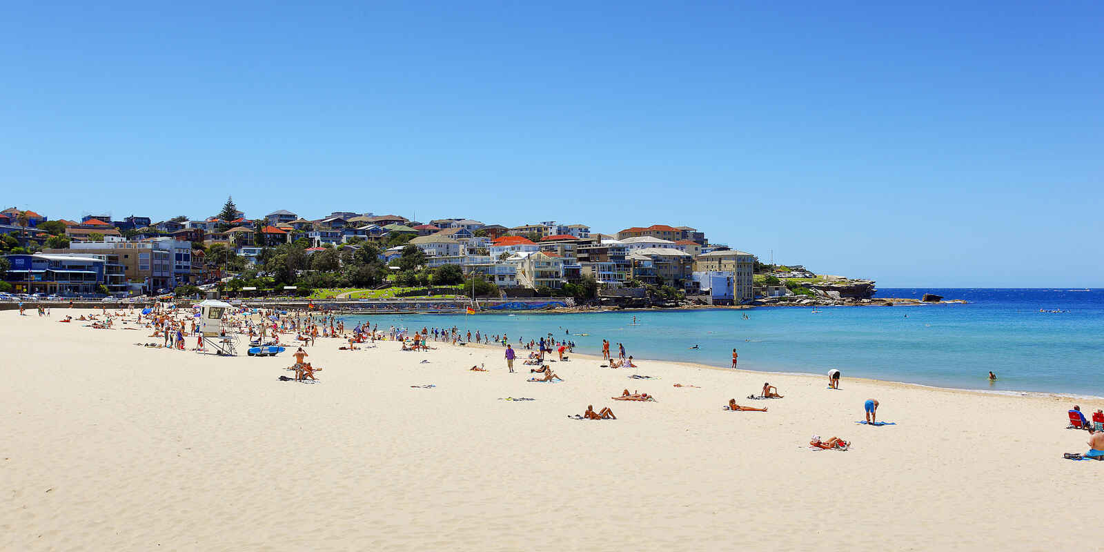 8/45 O'Brien Street Bondi Beach