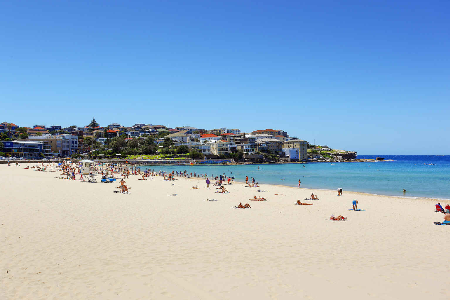 8/45 O'Brien Street Bondi Beach